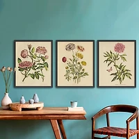 Herbal Botany Framed Art Print, 18x22