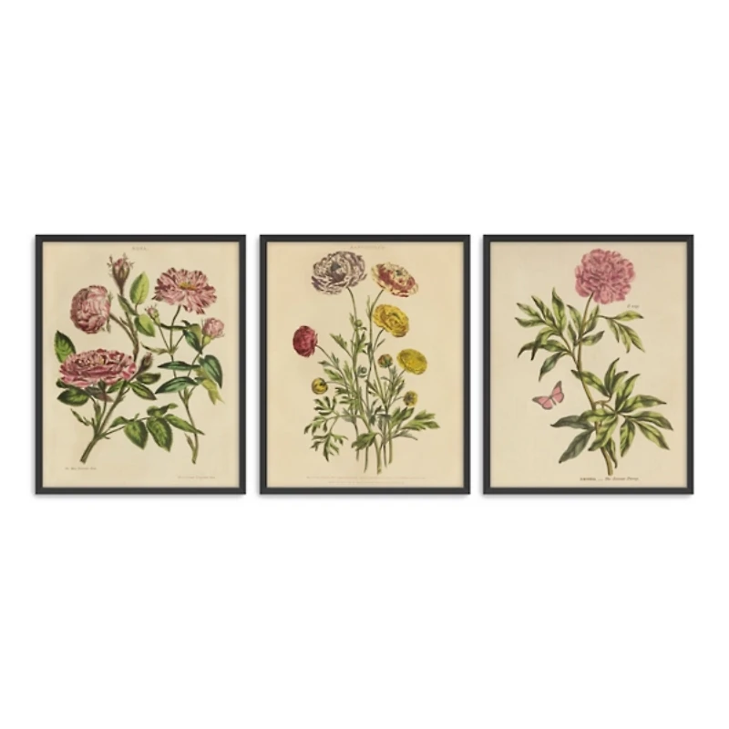 Herbal Botany Framed Art Print, 18x22