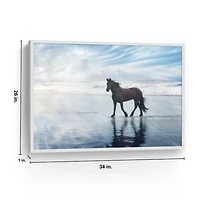 Beach Horse Framed Art Print, 26x34