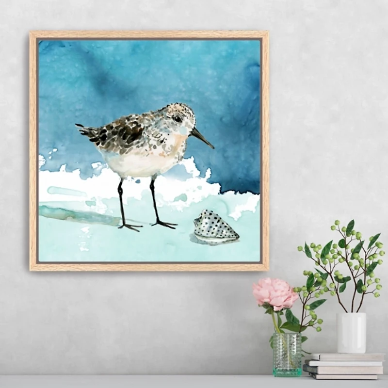 Sandpiper Bird Framed Canvas Art Print