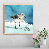 Sandpiper Bird Framed Canvas Art Print