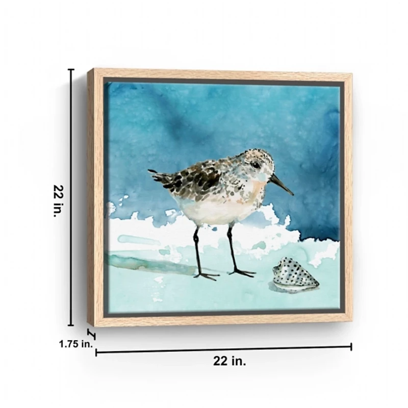 Sandpiper Bird Framed Canvas Art Print