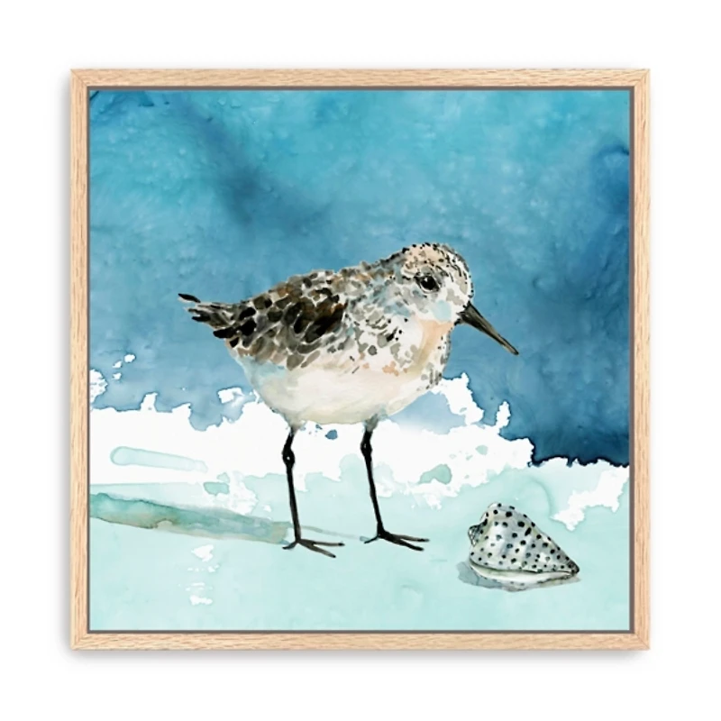 Sandpiper Bird Framed Canvas Art Print