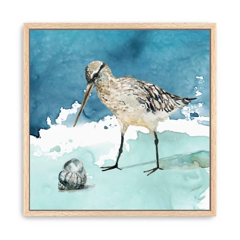 Delray Bird Framed Canvas Art Print