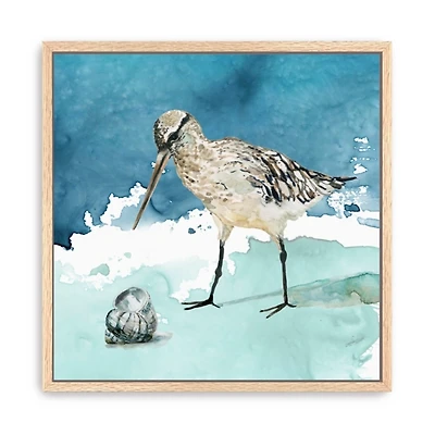 Delray Bird Framed Canvas Art Print