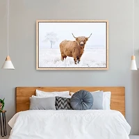 Conway Cow Framed Canvas Art Print