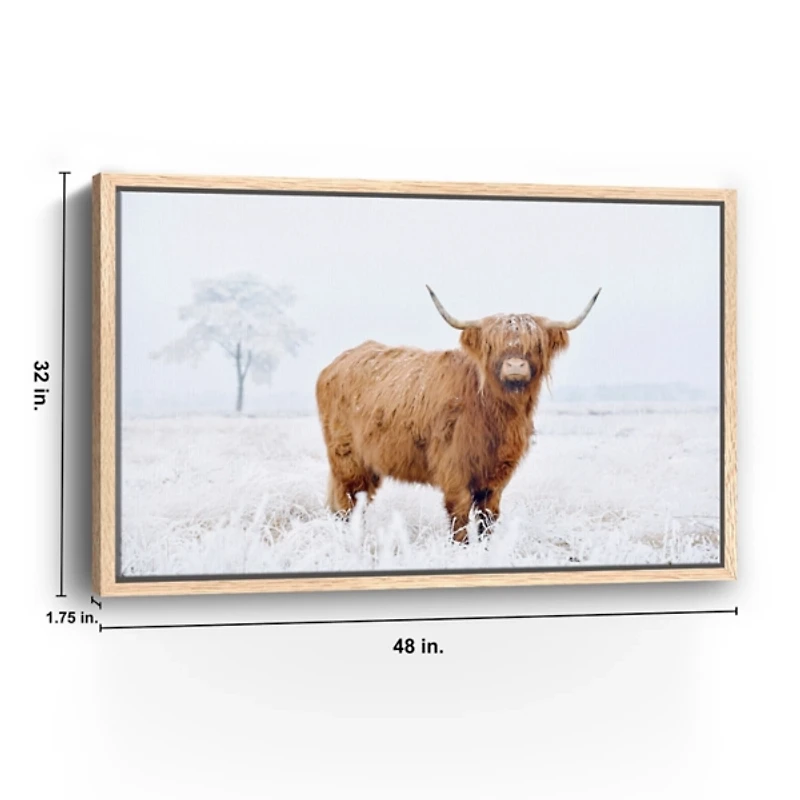 Conway Cow Framed Canvas Art Print