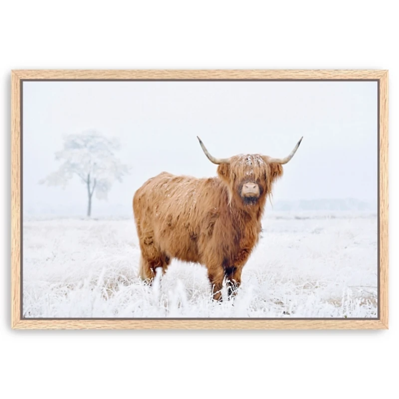 Conway Cow Framed Canvas Art Print