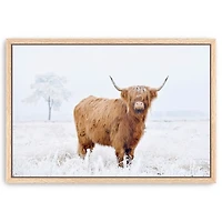 Conway Cow Framed Canvas Art Print