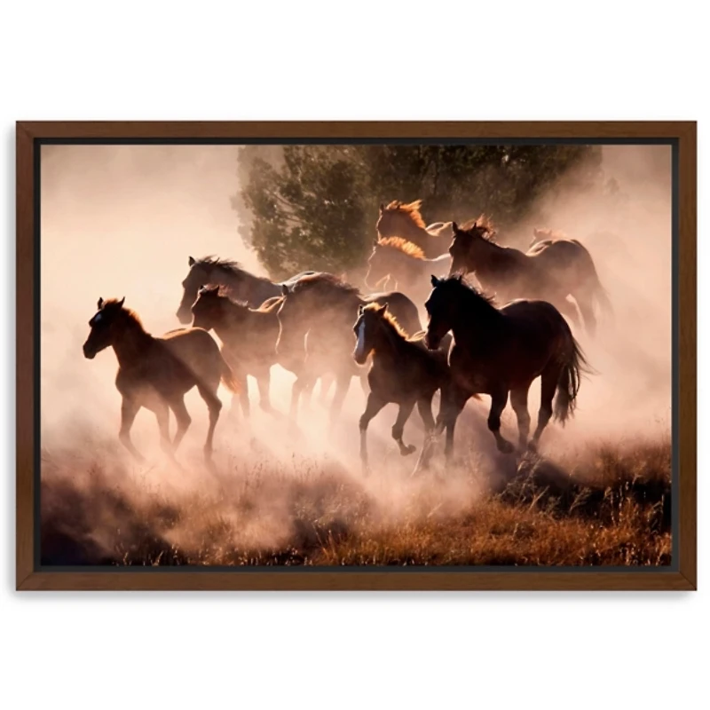 Running Wild Horses Framed Canvas Art Print