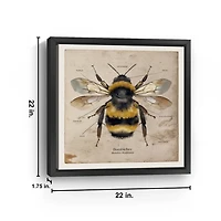 Bumblebee Anatomy Framed Canvas Art Print