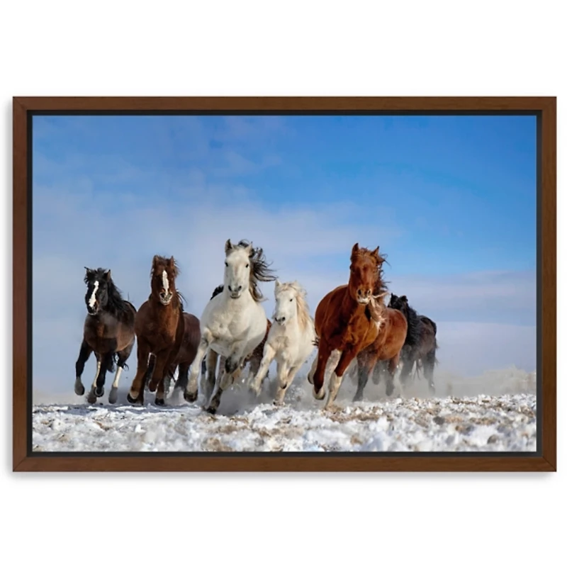 Mongolia Horses Framed Canvas Art Print
