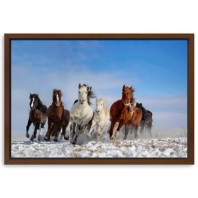 Mongolia Horses Framed Canvas Art Print