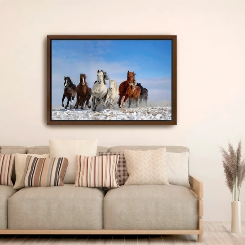 Mongolia Horses Framed Canvas Art Print, 48x32