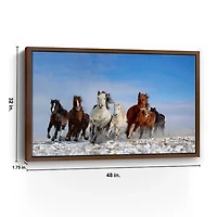 Mongolia Horses Framed Canvas Art Print, 48x32