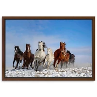 Mongolia Horses Framed Canvas Art Print, 48x32