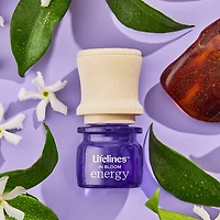 Lifelines Essential Oil Blend 5-pc. Discovery Set