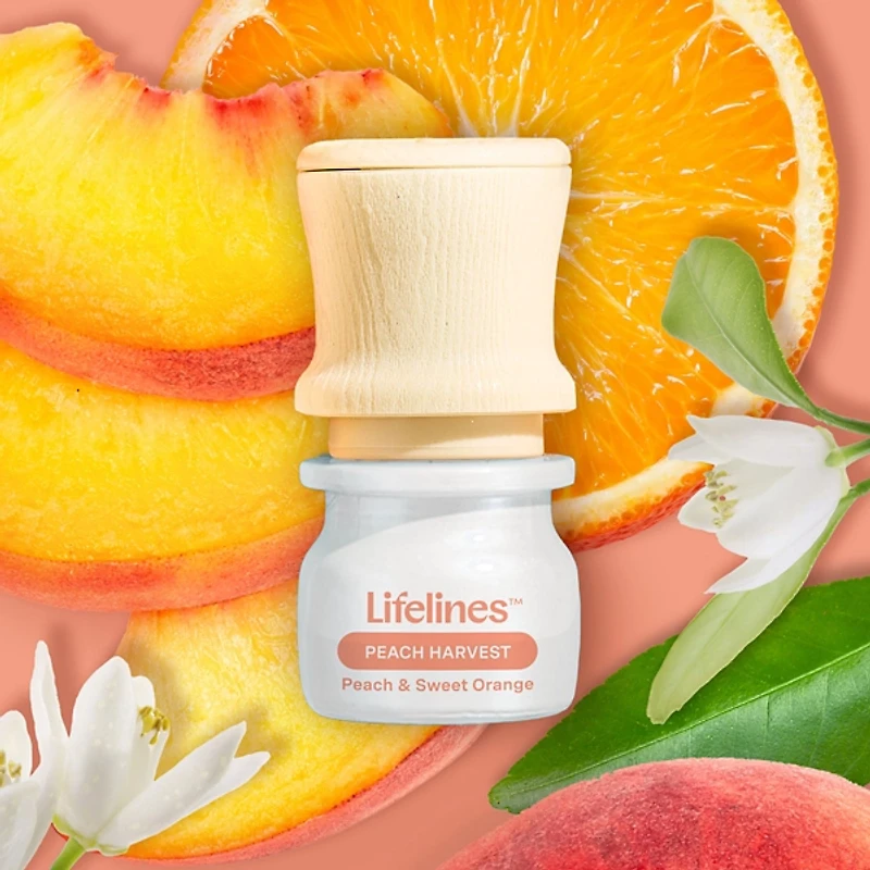 Lifelines Be Transported Essential Oil 5-pc. Set