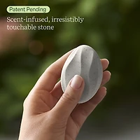 Lifelines Sensory Immersion Set