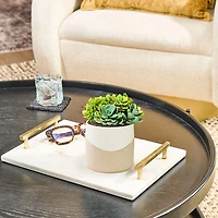 Lifelines Faux Succulent Two Tone Diffuser