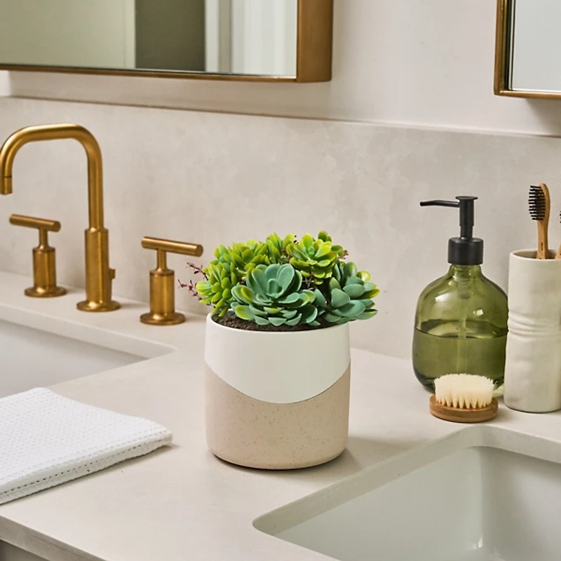 Lifelines Faux Succulent Two Tone Diffuser