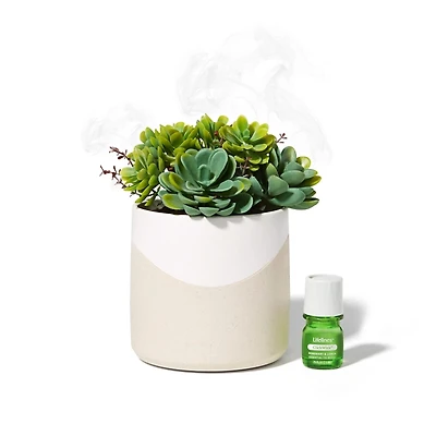 Lifelines Faux Succulent Two Tone Diffuser