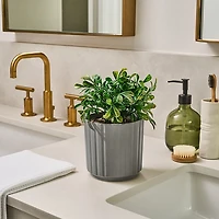 Lifelines Faux Boxwood Plant Ribbed Gray Diffuser