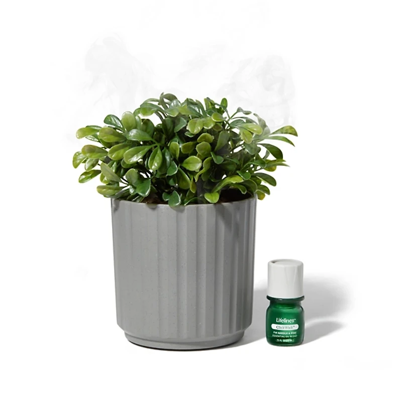 Lifelines Faux Boxwood Plant Ribbed Gray Diffuser