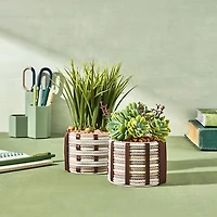 Lifelines FlowCrafts Cord Wrapped Planter Kit