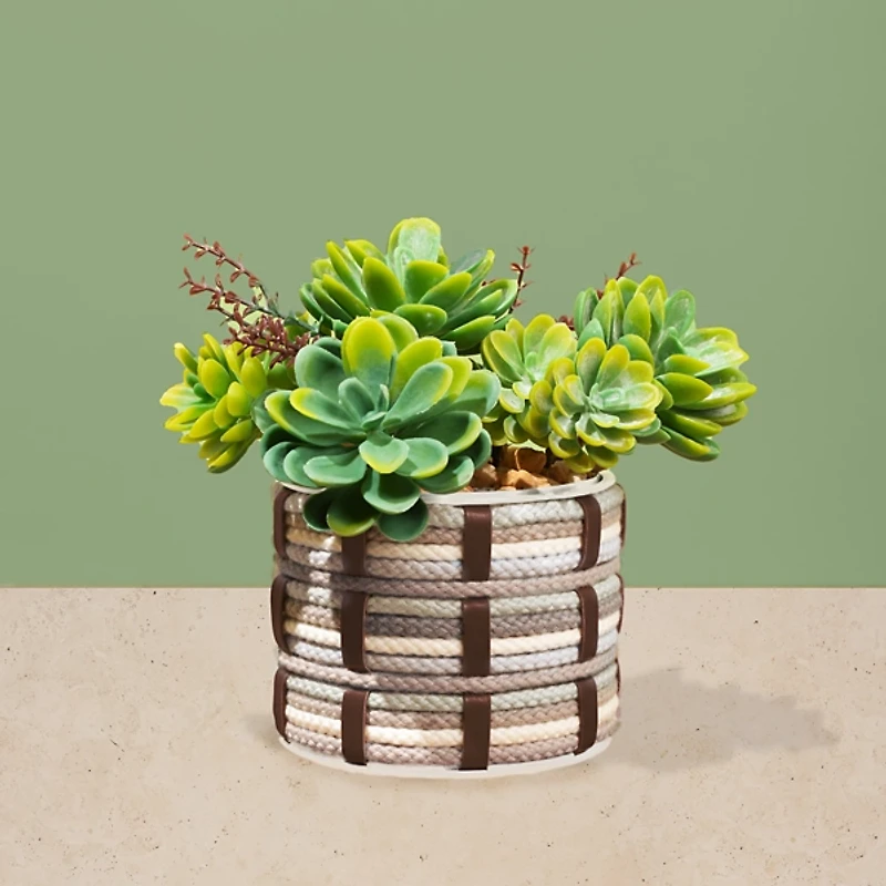 Lifelines FlowCrafts Cord Wrapped Planter Kit