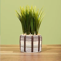 Lifelines FlowCrafts Cord Wrapped Planter Kit