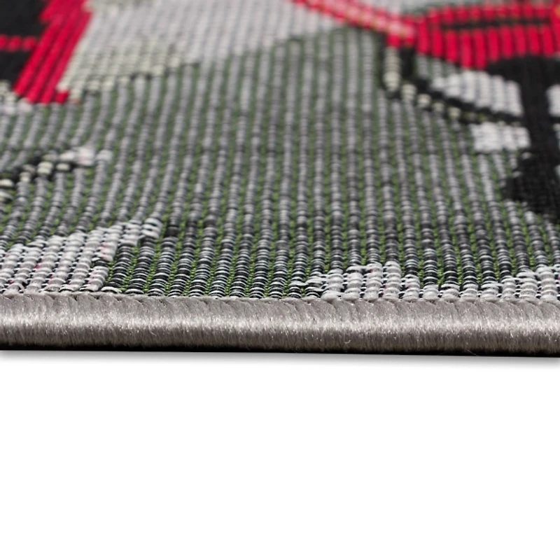 Bike Trip Indoor/Outdoor Runner