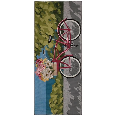 Bike Trip Indoor/Outdoor Runner