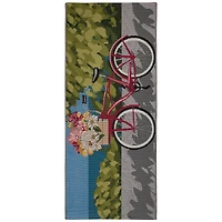 Bike Trip Indoor/Outdoor Runner