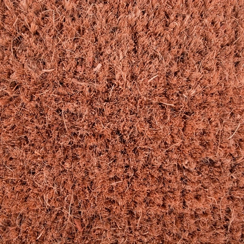 Seashell Beach House Coir Doormat