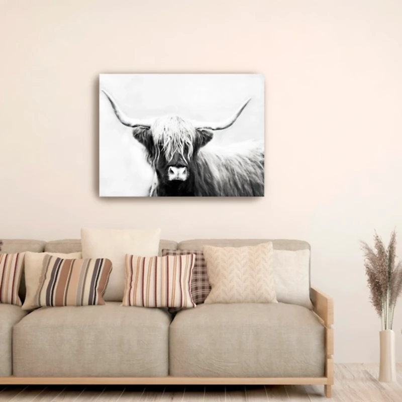 Highland Longhorn Canvas Art Print, 40x30 in.