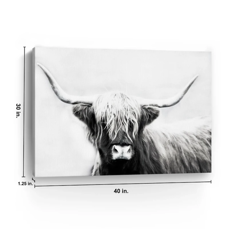 Highland Longhorn Canvas Art Print, 40x30 in.