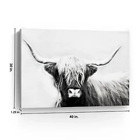 Highland Longhorn Canvas Art Print, 40x30 in.