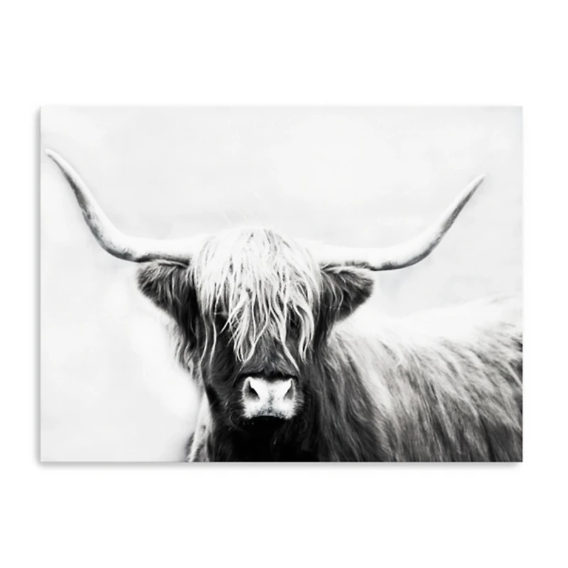 Highland Longhorn Canvas Art Print, 40x30 in.