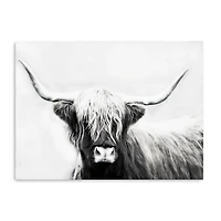 Highland Longhorn Canvas Art Print, 40x30 in.
