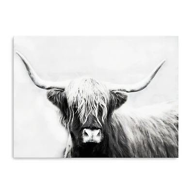 Highland Longhorn Canvas Art Print, 48x36 in.