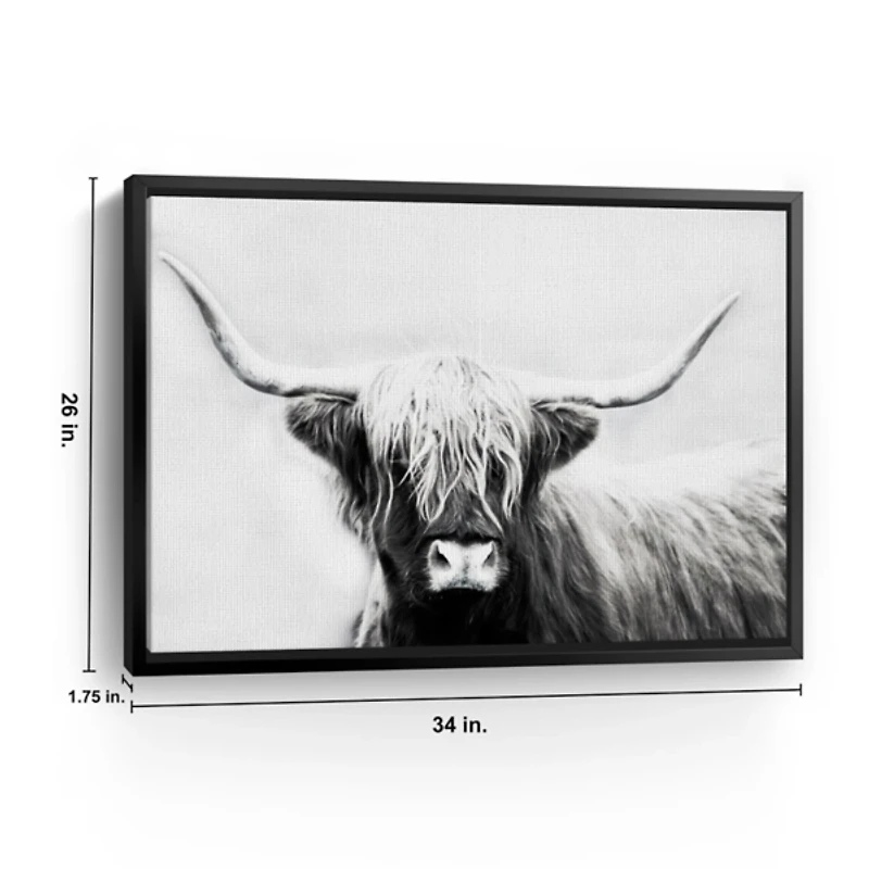 Highland Longhorn Framed Canvas Art Print
