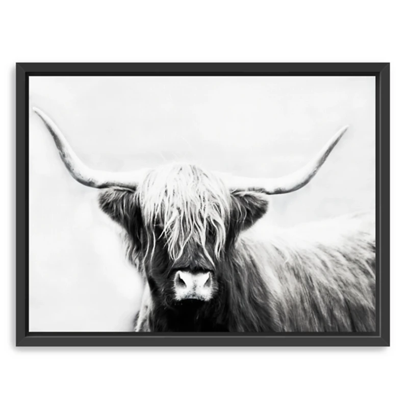Highland Longhorn Framed Canvas Art Print