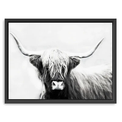 Highland Longhorn Framed Canvas Art Print, 42x32