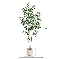 ft Minimalist Olive Tree in White Planter