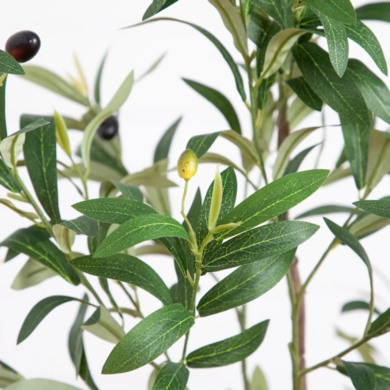 ft Minimalist Olive Tree in White Planter