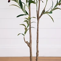 ft Minimalist Olive Tree in White Planter