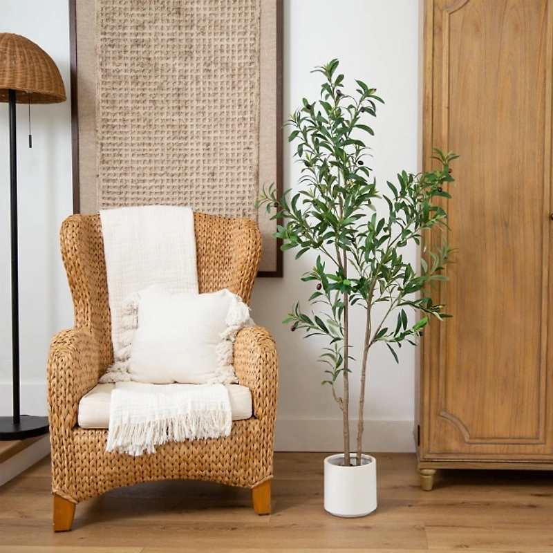 ft Minimalist Olive Tree in White Planter