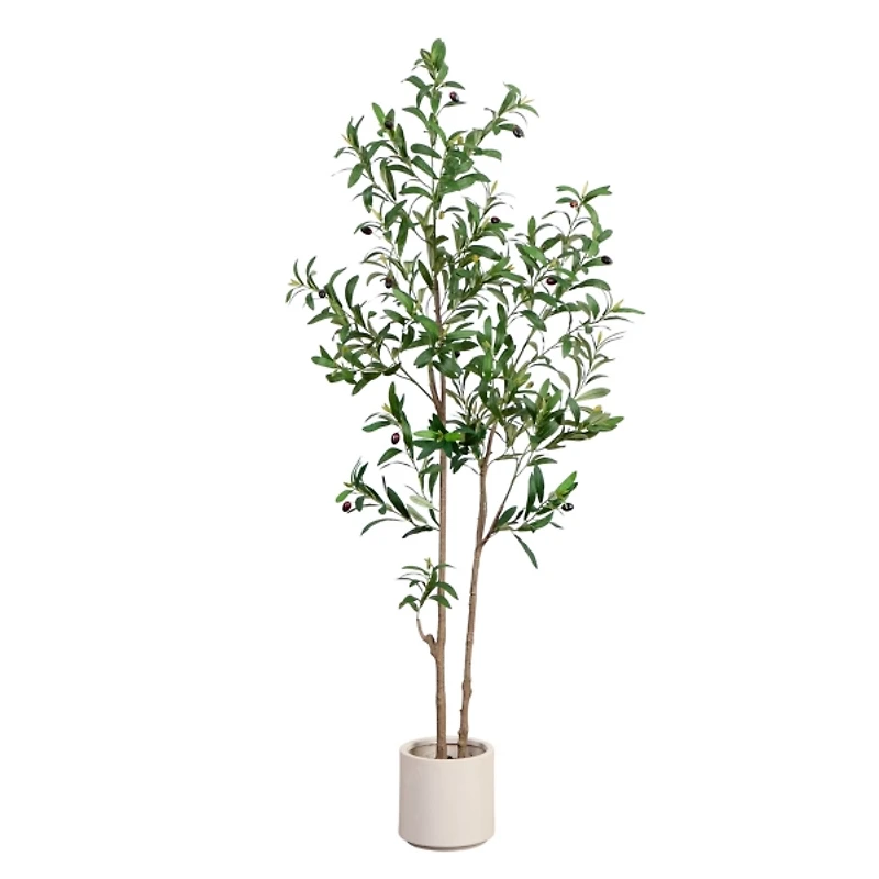 ft Minimalist Olive Tree in White Planter