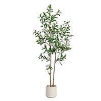 ft Minimalist Olive Tree in White Planter